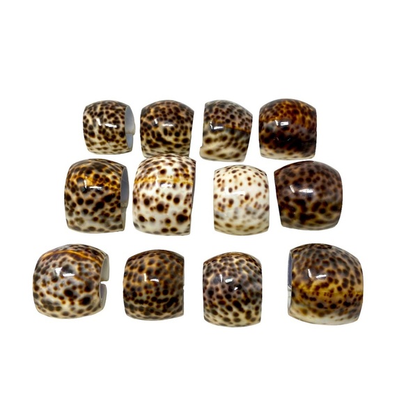 Tiger Cowrie Shell | Brown, White | Napkin Rings | Set Of 4 | Size 2” - Picture 2 of 10